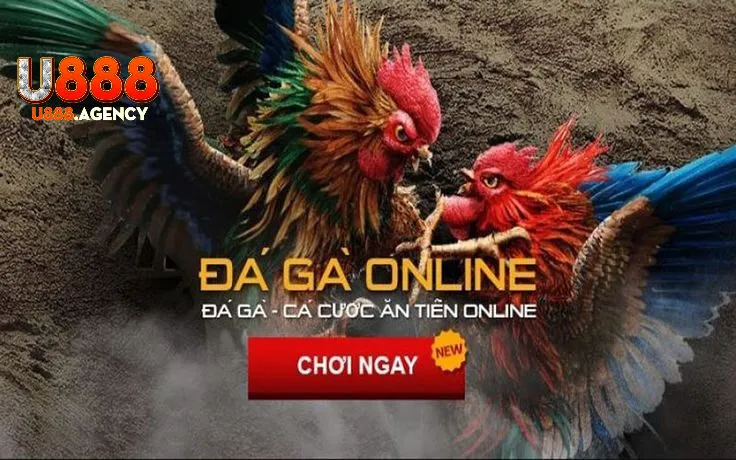 Khám Phá Đẳng Cấp Cá Cược Vượt Trội Cùng U888
